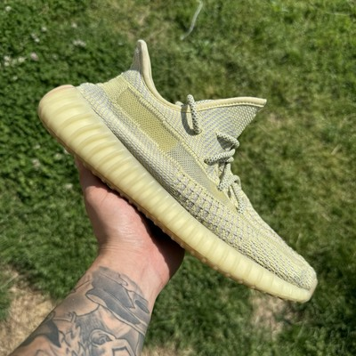 Adidas Yeezy Boost 350v2 Antila