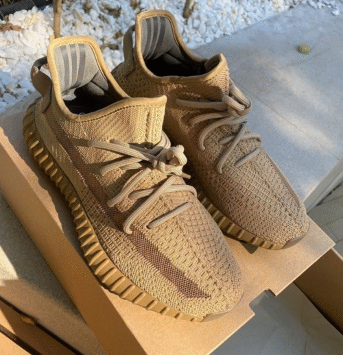 Adidas Yeezy Boost 350v2 Earth
