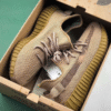 Adidas Yeezy Boost 350v2 Earth