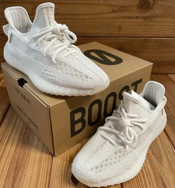 Adidas Yeezy Boost 350v2 Bone