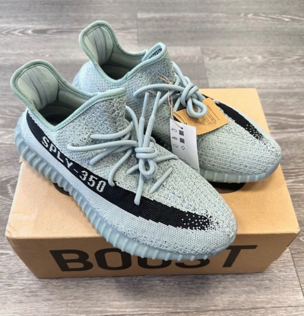 Adidas Yeezy Boost 350v2 Salt