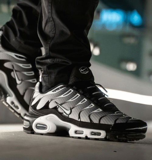 image_2025-12-02_214557109 Nike Air Max TN